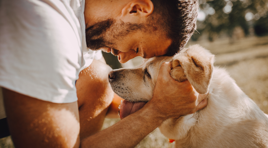 3 Mythen über die Bindung zwischen Mensch und Hund